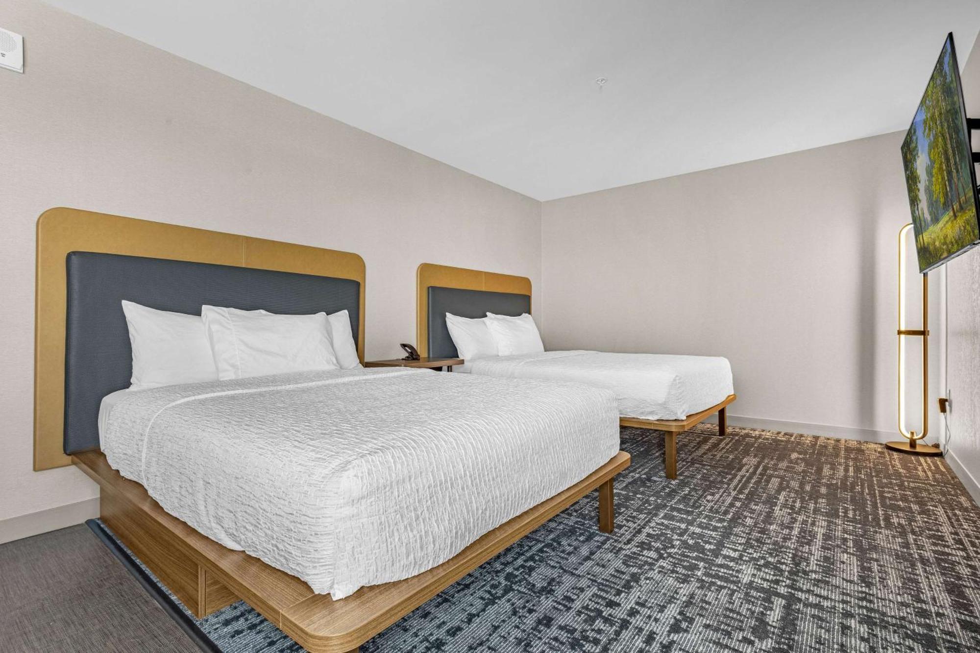 Homewood Suites By Hilton Colorado Springs Airport Bagian luar foto